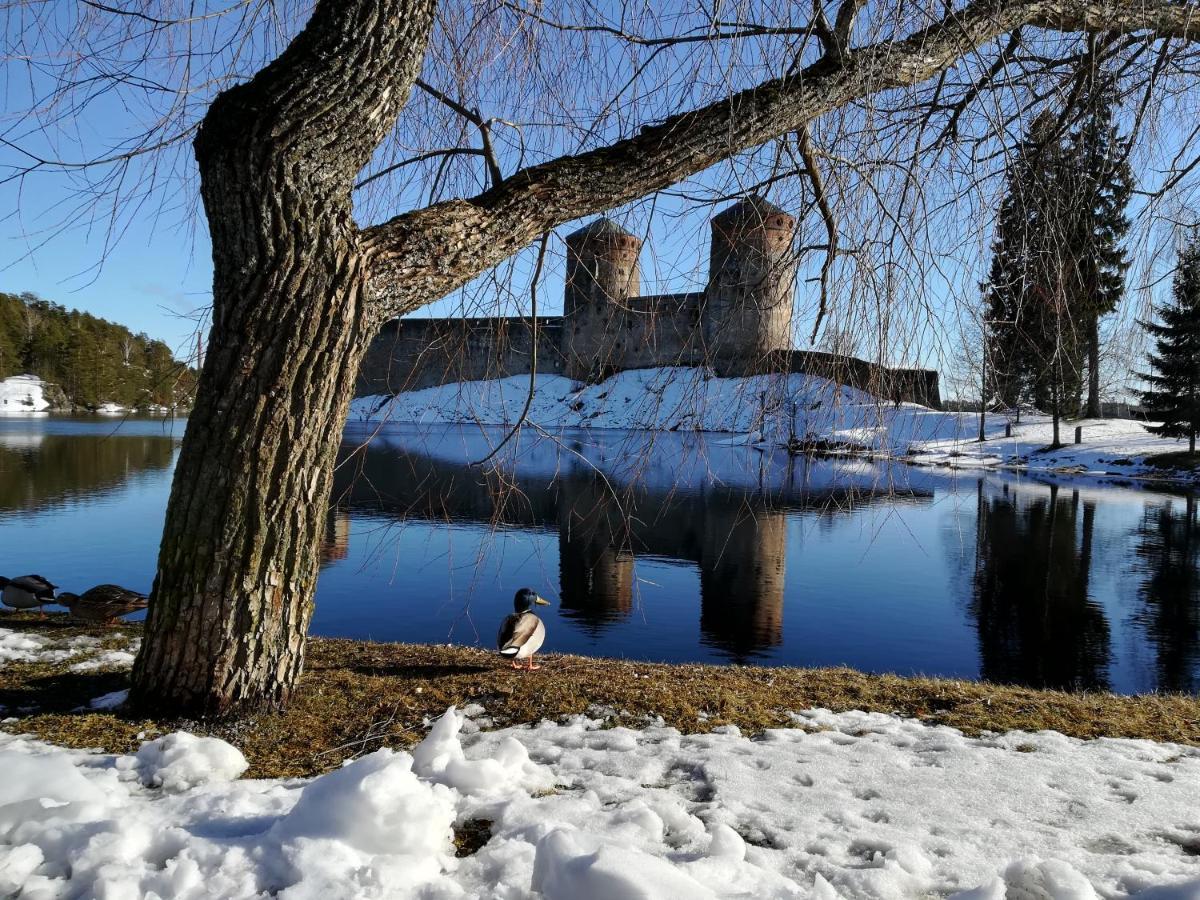 Savonlinna Rentals エクステリア 写真
